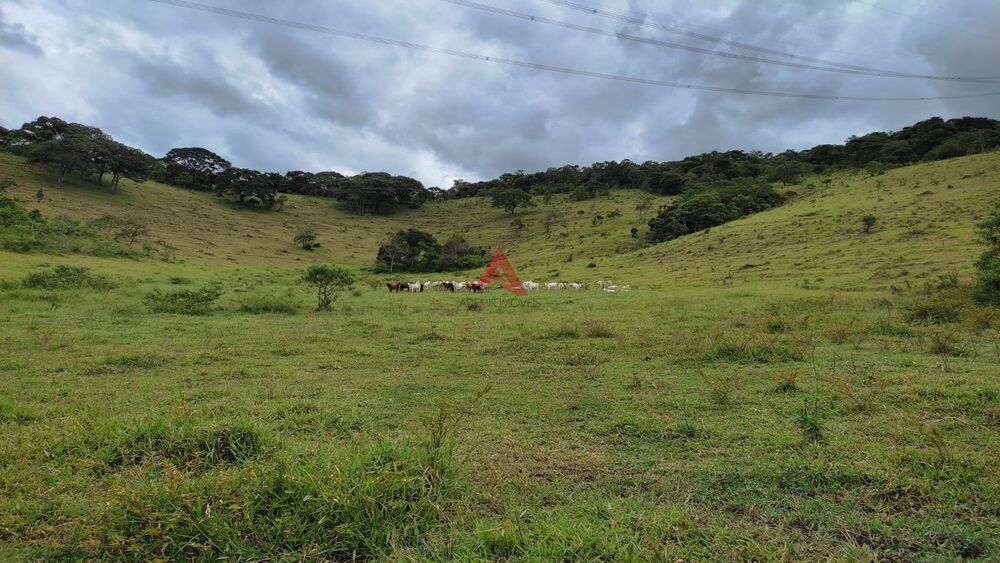 Sítio à venda com 2 quartos, 72m² - Foto 22