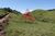 Terreno, 9 hectares - Foto 2