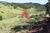 Terreno, 9 hectares - Foto 1