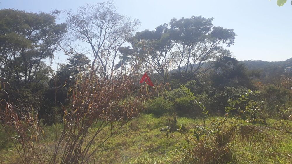 Terreno à venda, 2451 - Foto 9