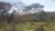 Terreno, 2451 m² - Foto 9