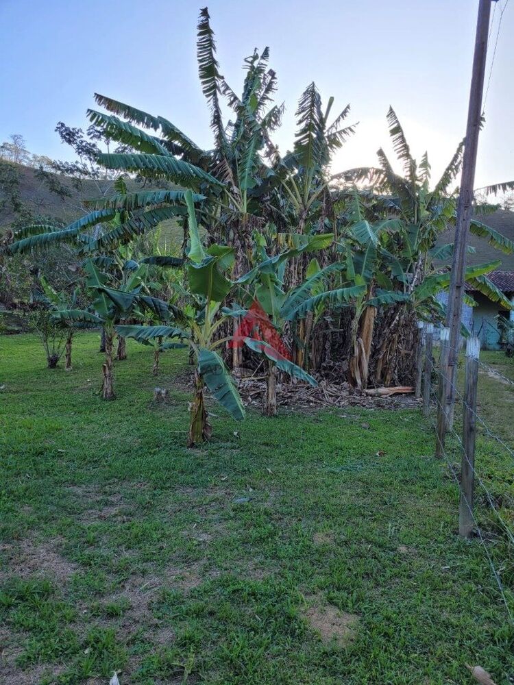 Sítio, 2 quartos, 4 hectares - Foto 4