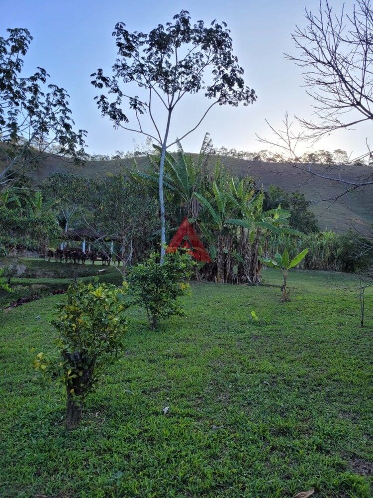 Sítio, 2 quartos, 4 hectares - Foto 3