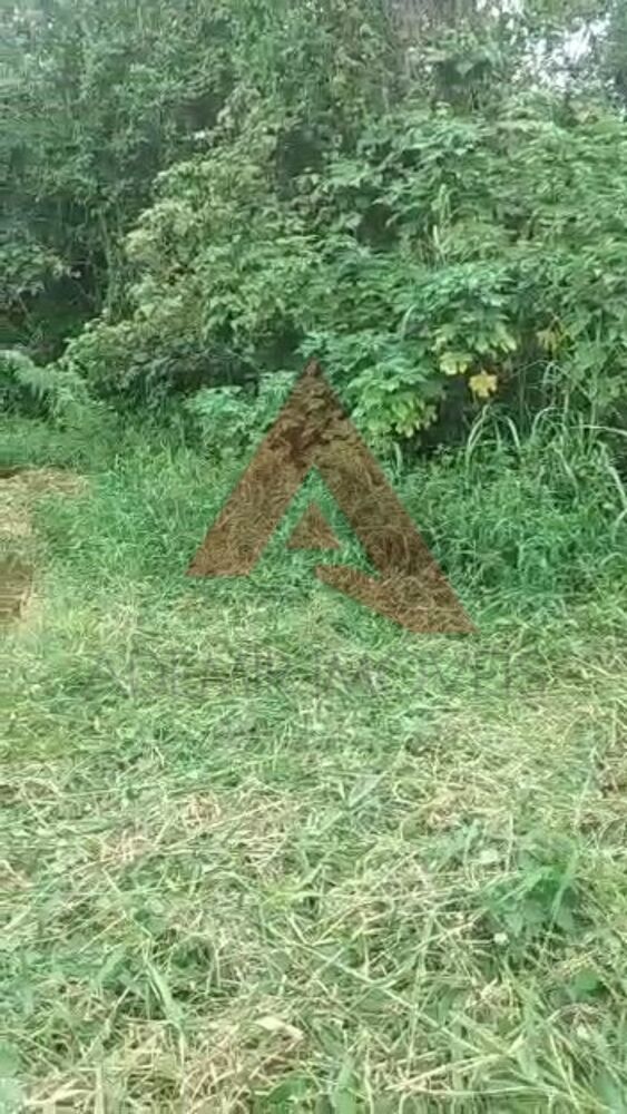 Terreno, 372 m² - Foto 4