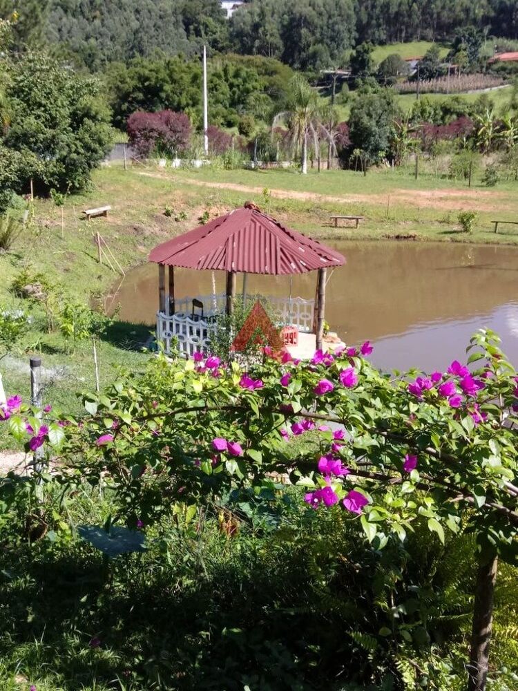 Chácara, 4 quartos, 2 hectares - Foto 19