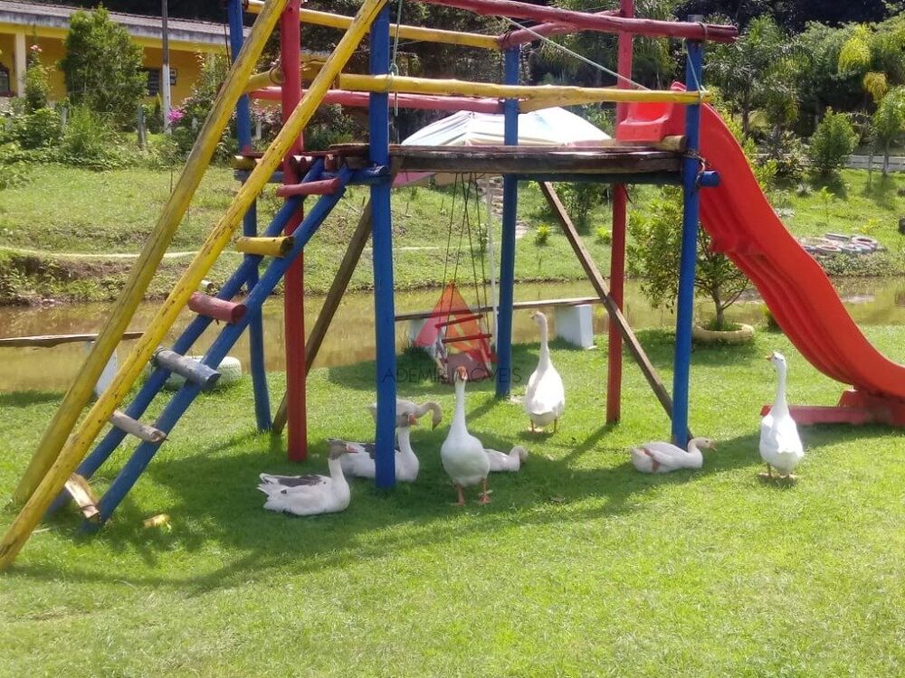 Chácara, 4 quartos, 2 hectares - Foto 22