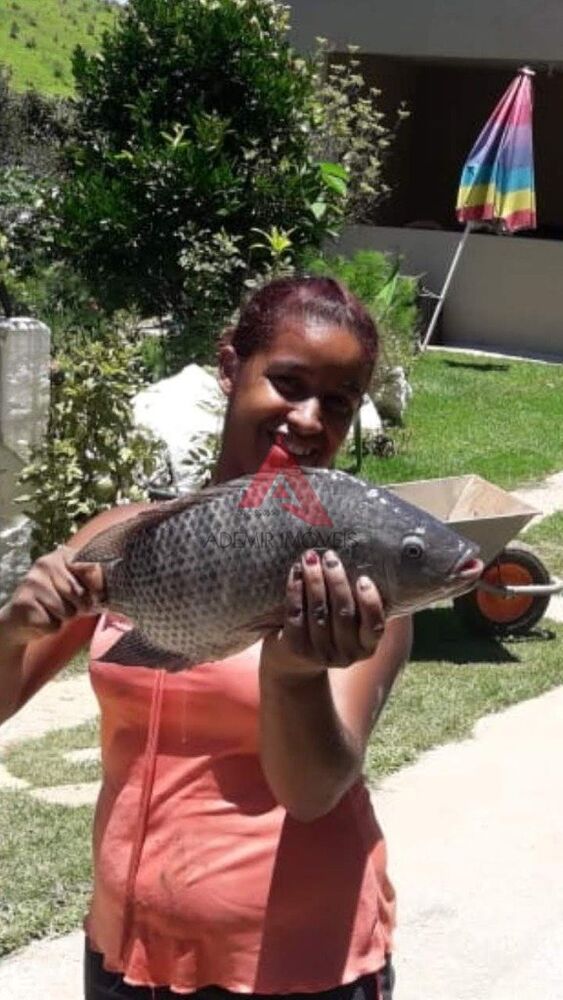 Chácara, 4 quartos, 2 hectares - Foto 26