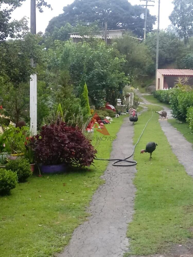 Chácara, 4 quartos, 2 hectares - Foto 25