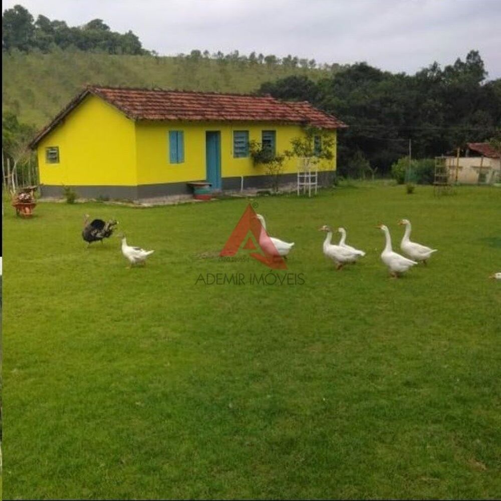 Chácara, 4 quartos, 2 hectares - Foto 4