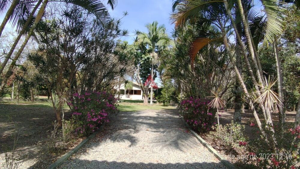 Chácara, 3 quartos, 3450 m² - Foto 4