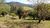 Sítio, 2 quartos, 3 hectares - Foto 11