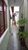 Casa, 3 quartos, 228 m² - Foto 4