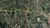Terreno, 39 hectares - Foto 4