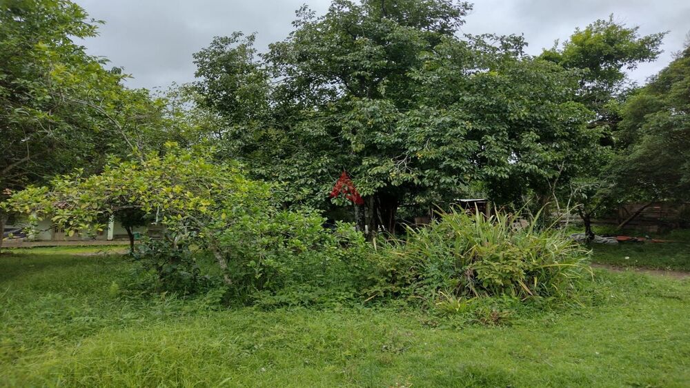 Sítio à venda com 2 quartos, 85m² - Foto 4