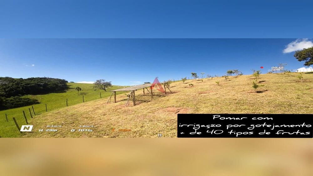 Sítio, 6 quartos, 46 hectares - Foto 43