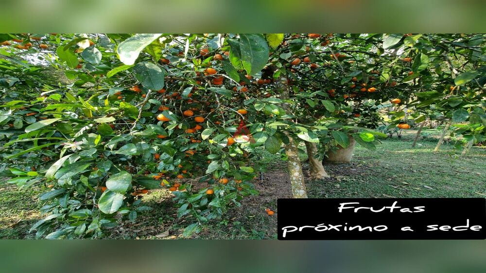 Sítio, 6 quartos, 46 hectares - Foto 38