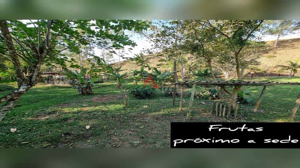 Sítio, 6 quartos, 46 hectares - Foto 37