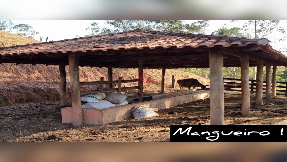 Sítio, 6 quartos, 46 hectares - Foto 30