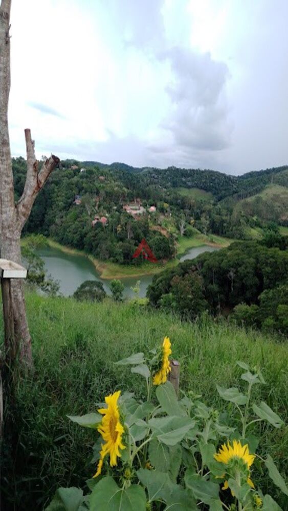 Chácara à venda com 2 quartos, 740m² - Foto 6