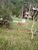 Chácara, 3 quartos, 2 hectares - Foto 14