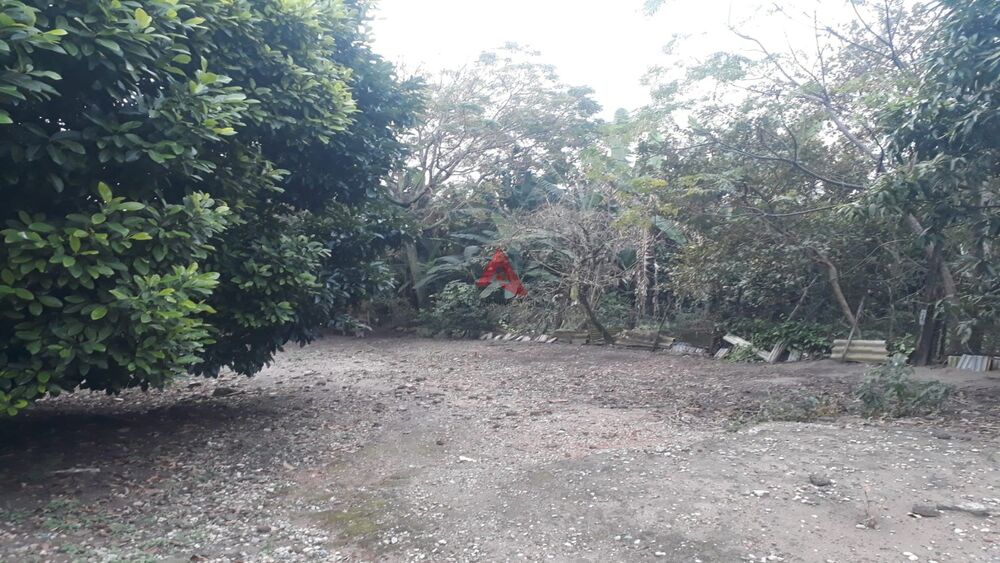 Loja-Salão - Foto 4