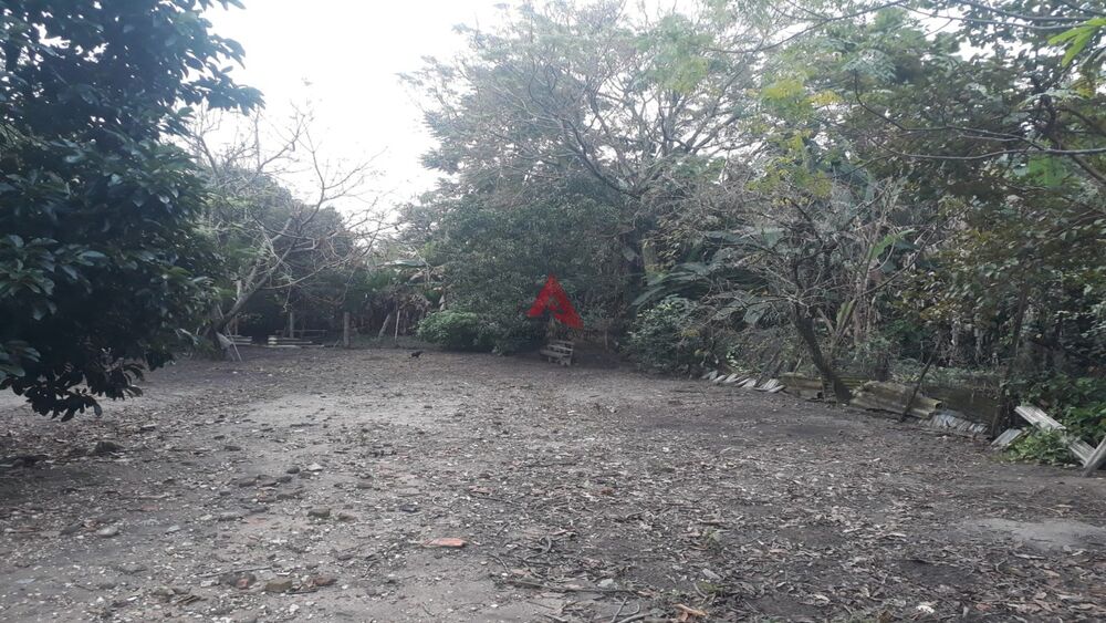 Loja-Salão - Foto 6