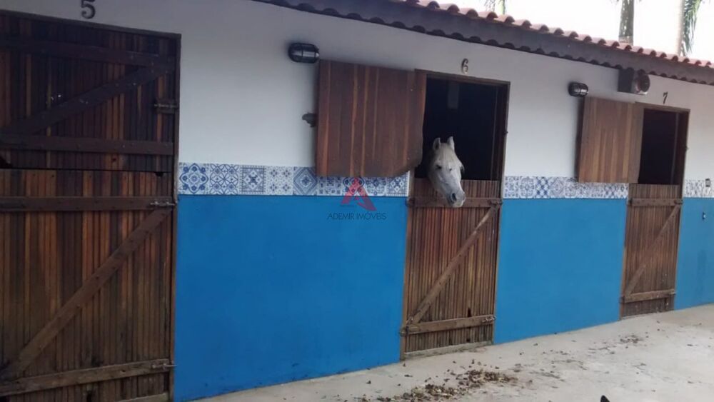 Chácara, 6 quartos, 3600 m² - Foto 15