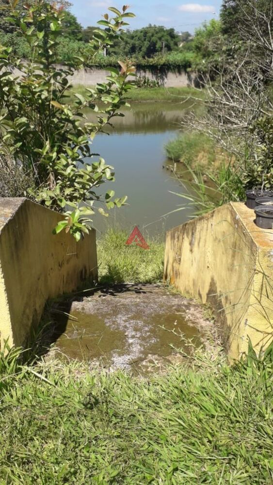 Chácara, 2 quartos, 9500 m² - Foto 3