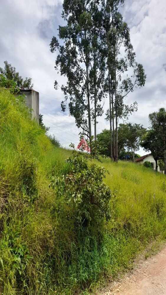 Terreno, 700 m² - Foto 2