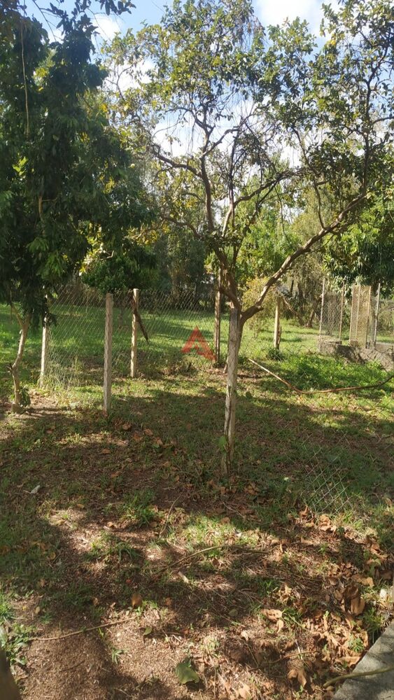 Terreno, 1750 m² - Foto 6