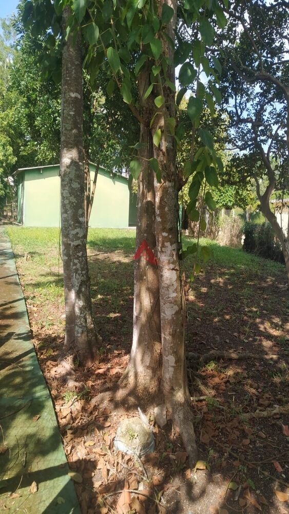 Terreno, 1750 m² - Foto 4