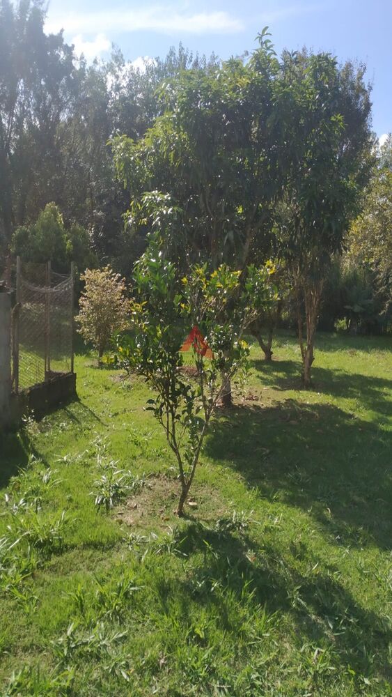 Terreno, 1750 m² - Foto 7