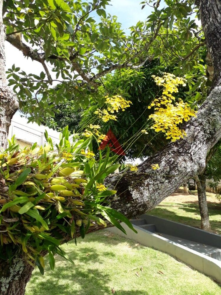 Chácara à venda com 3 quartos, 400m² - Foto 4