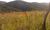 Terreno, 10 hectares - Foto 4