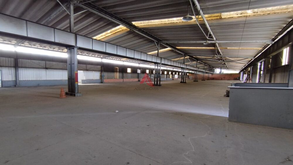 Terreno à venda e aluguel, 1800m² - Foto 5
