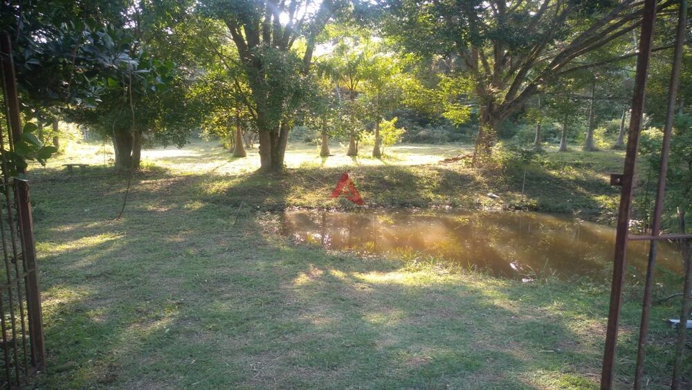 Terreno, 6000 m² - Foto 2