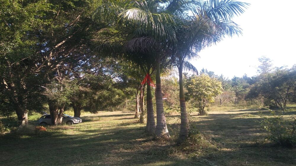 Terreno, 6000 m² - Foto 1