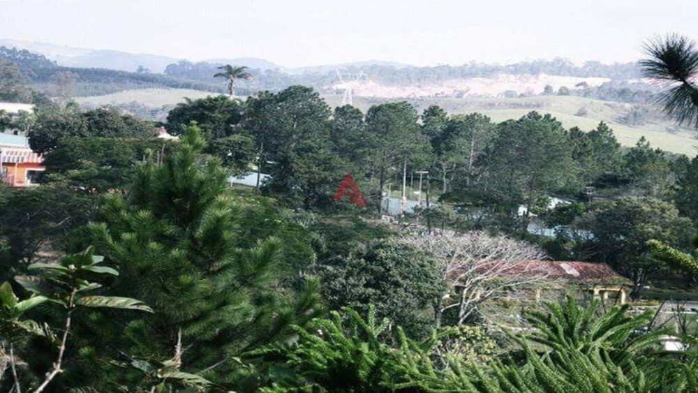 Terreno, 6000 m² - Foto 11