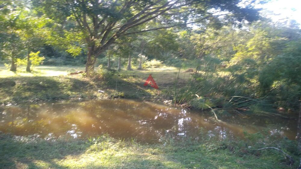 Terreno, 6000 m² - Foto 6