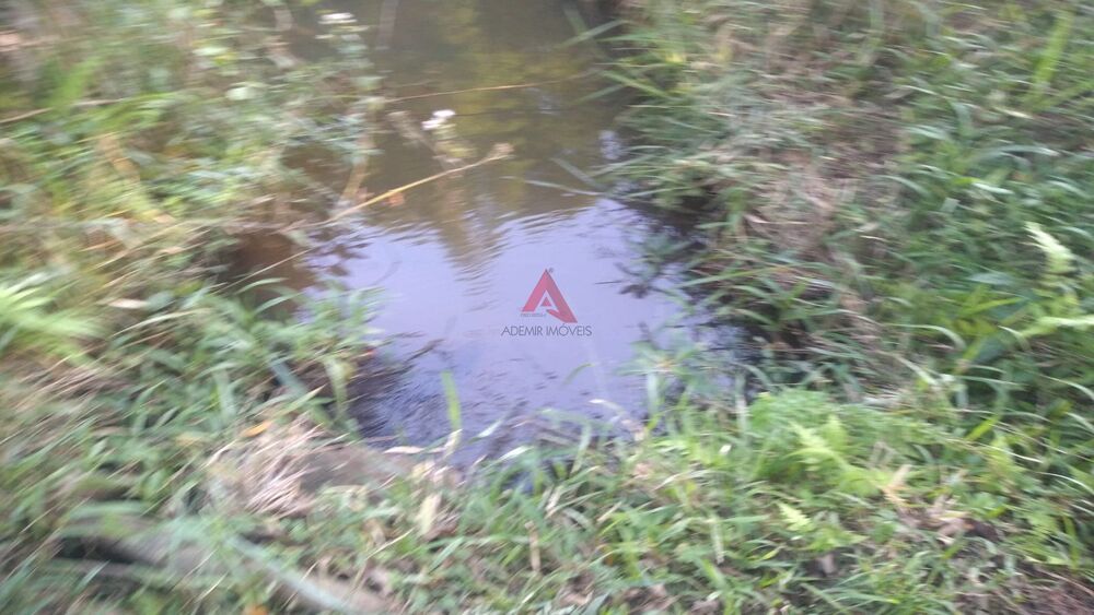 Terreno, 6000 m² - Foto 3