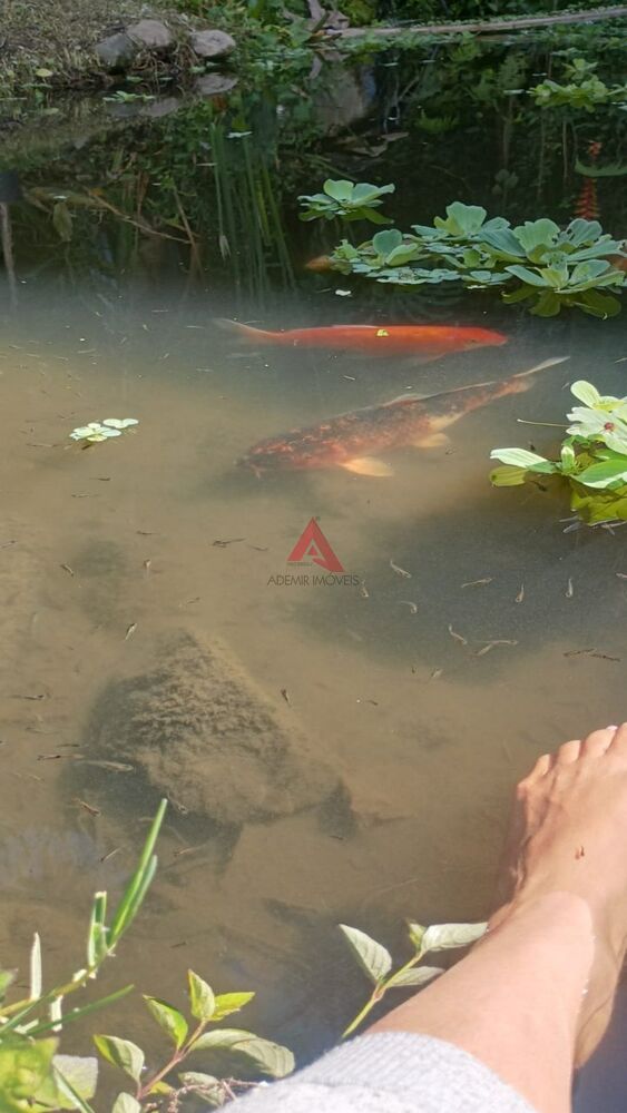 Terreno, 6000 m² - Foto 7