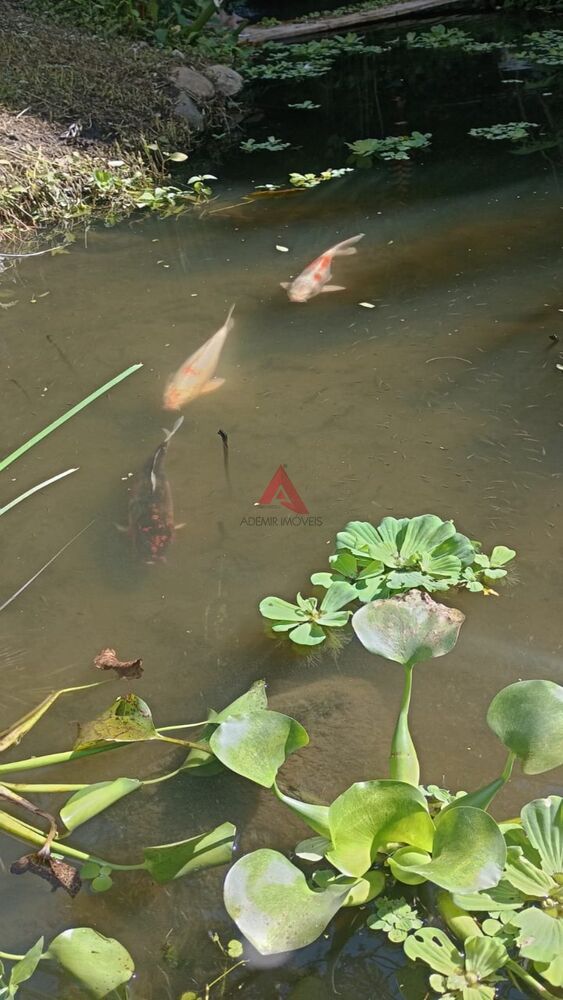 Terreno, 6000 m² - Foto 8