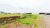 Terreno, 300 m² - Foto 1