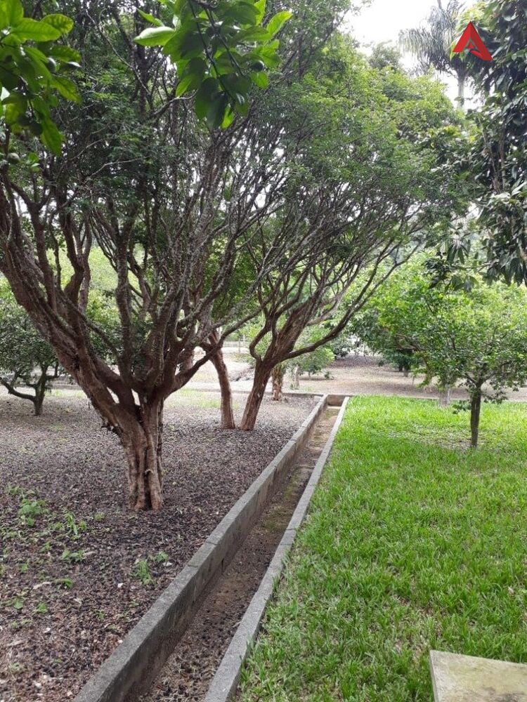 Chácara, 2 quartos, 3000 m² - Foto 5