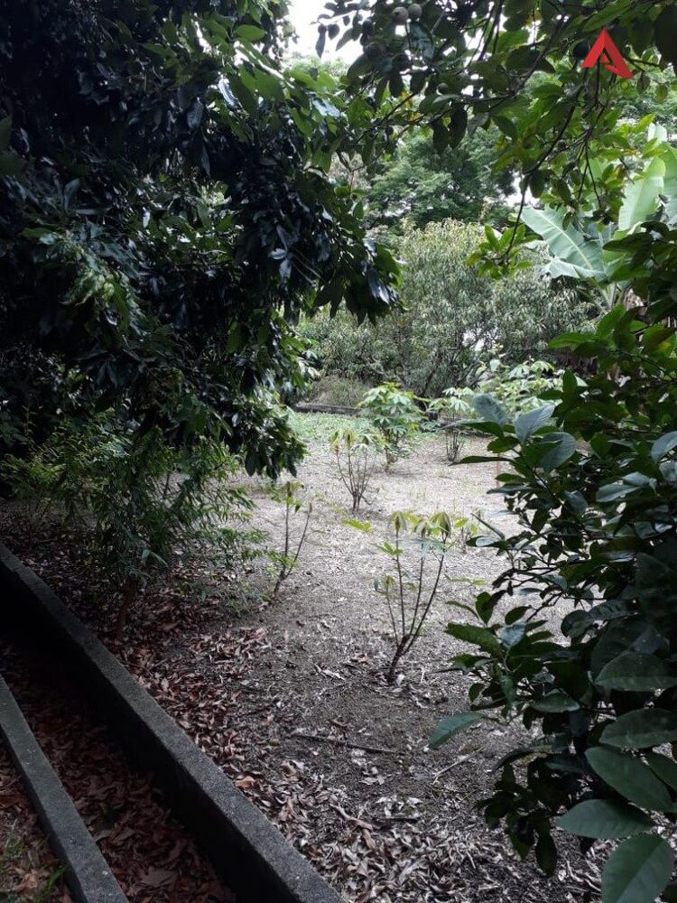 Chácara, 2 quartos, 3000 m² - Foto 6