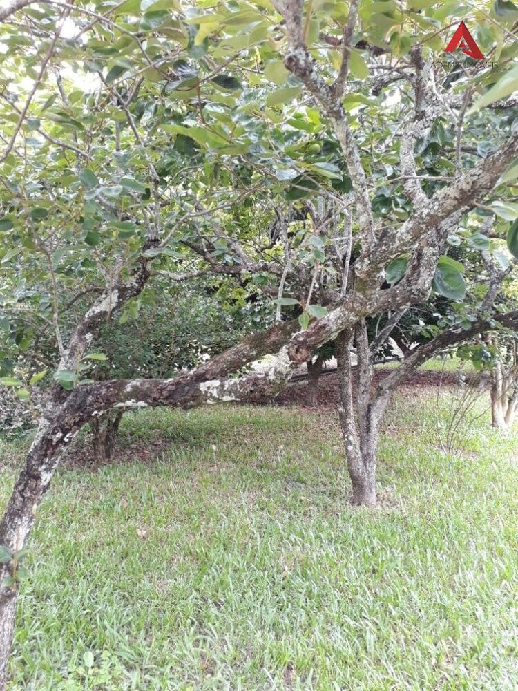 Chácara, 2 quartos, 3000 m² - Foto 13