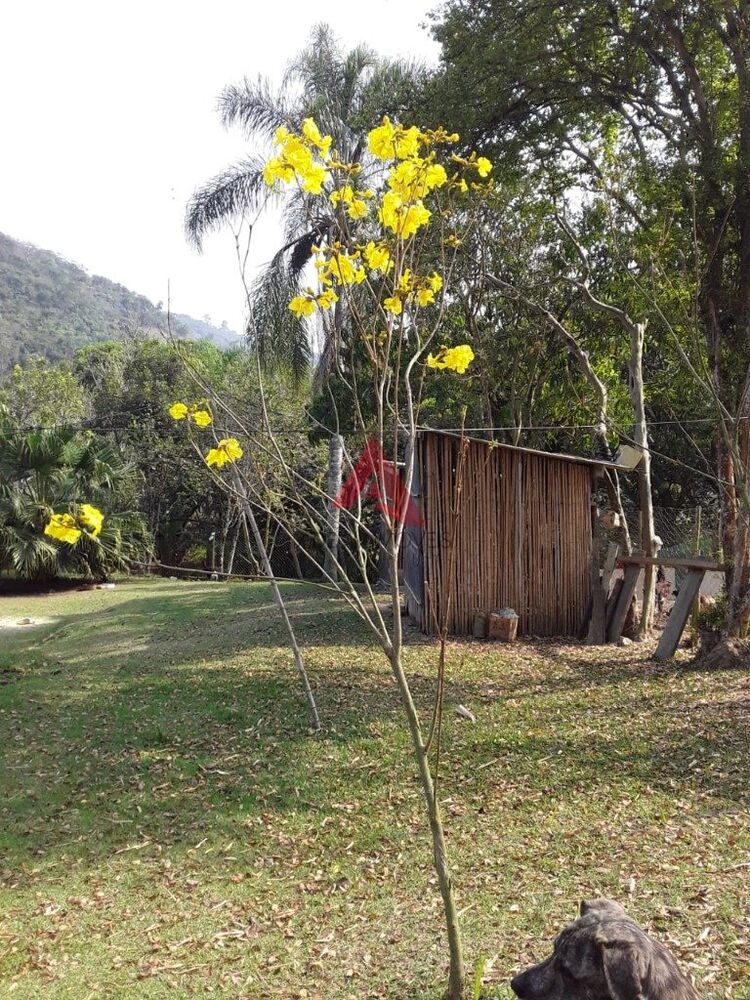 Chácara à venda com 1 quarto, 11000 - Foto 4