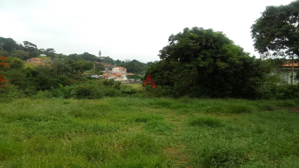 Chácara à venda e aluguel com 3 quartos, 60m² - Foto 3