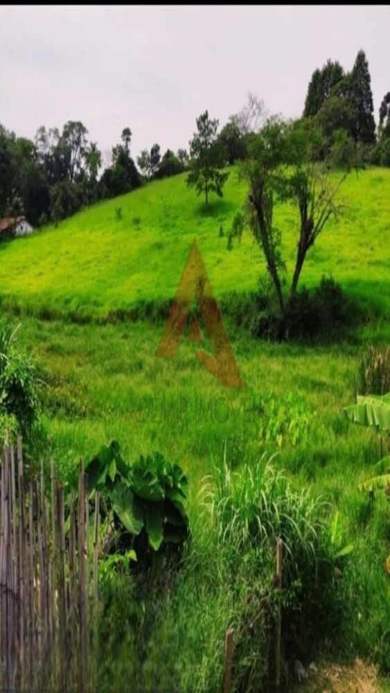 Terreno, 2 hectares - Foto 4