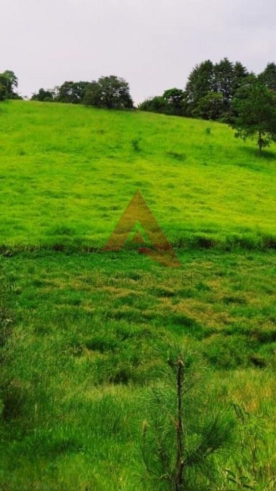 Terreno, 2 hectares - Foto 2